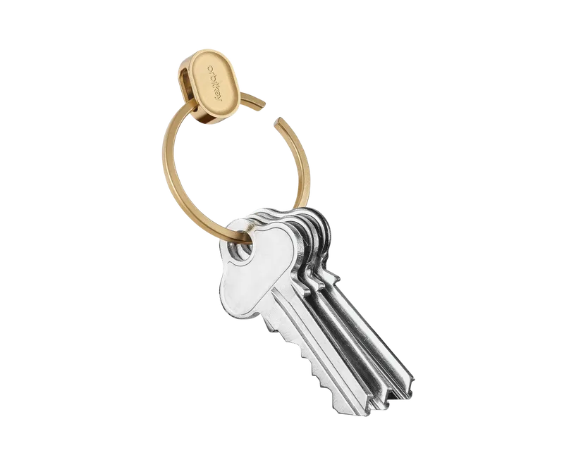 Ring V2 Quick Release Keyring